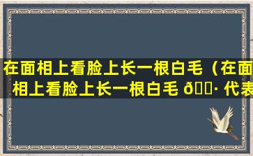 在面相上看脸上长一根白毛（在面相上看脸上长一根白毛 🌷 代表什么）